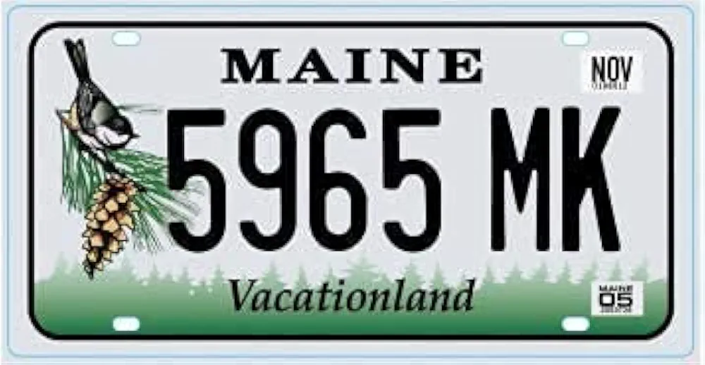 OPO 10 - Placa DE Licencia DE AUTOMÓVIL EE. UU. - Imitación en Metal 30x15 cms: Maine (C23)