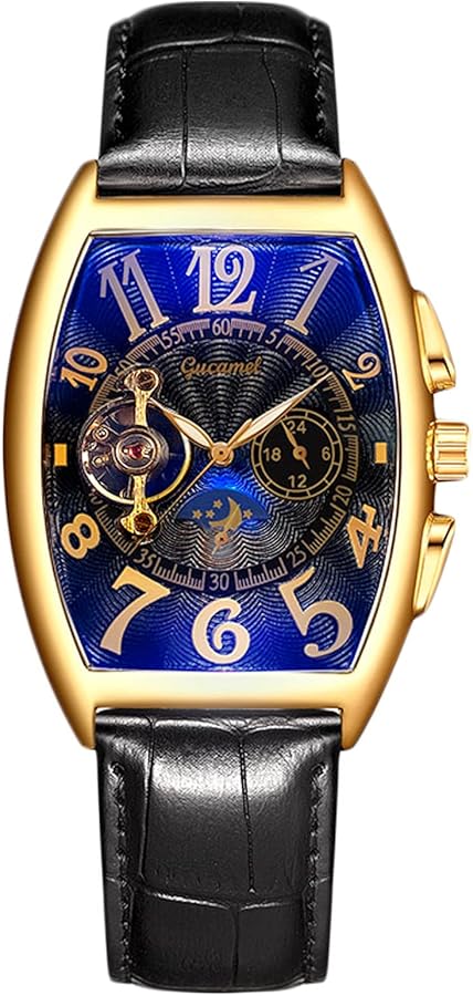RORIOS Business Men's Watches Luminous Watch Analogue Quartz Wrist Watch with Leather Strap Classic Dress Watches