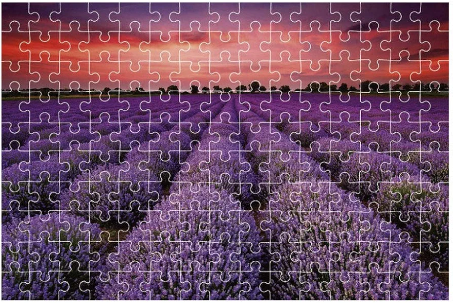YuAn Rompecabezas De Madera De 1000 Piezas,Campo De Flores Púrpura En La Noche, Adultos Niños Juegos De Puzzle Desafío del Cerebro, Familyfriends Interactivo Ocio Buenos Regalos De Cumpleaños,1000Ps