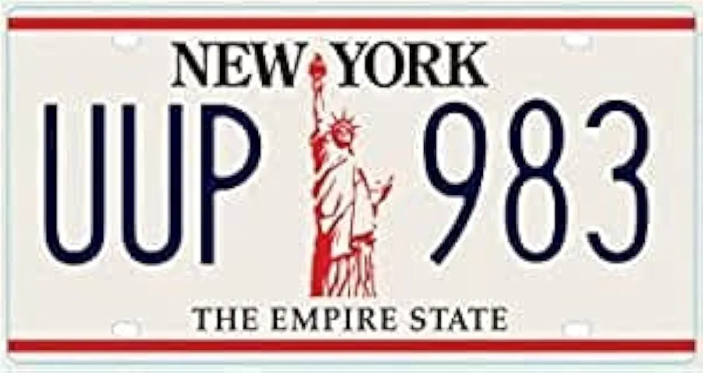 OPO 10 - Placa DE Licencia DE AUTOMÓVIL USA - Réplica en Metal 30x15 cms: Nueva York (C36)