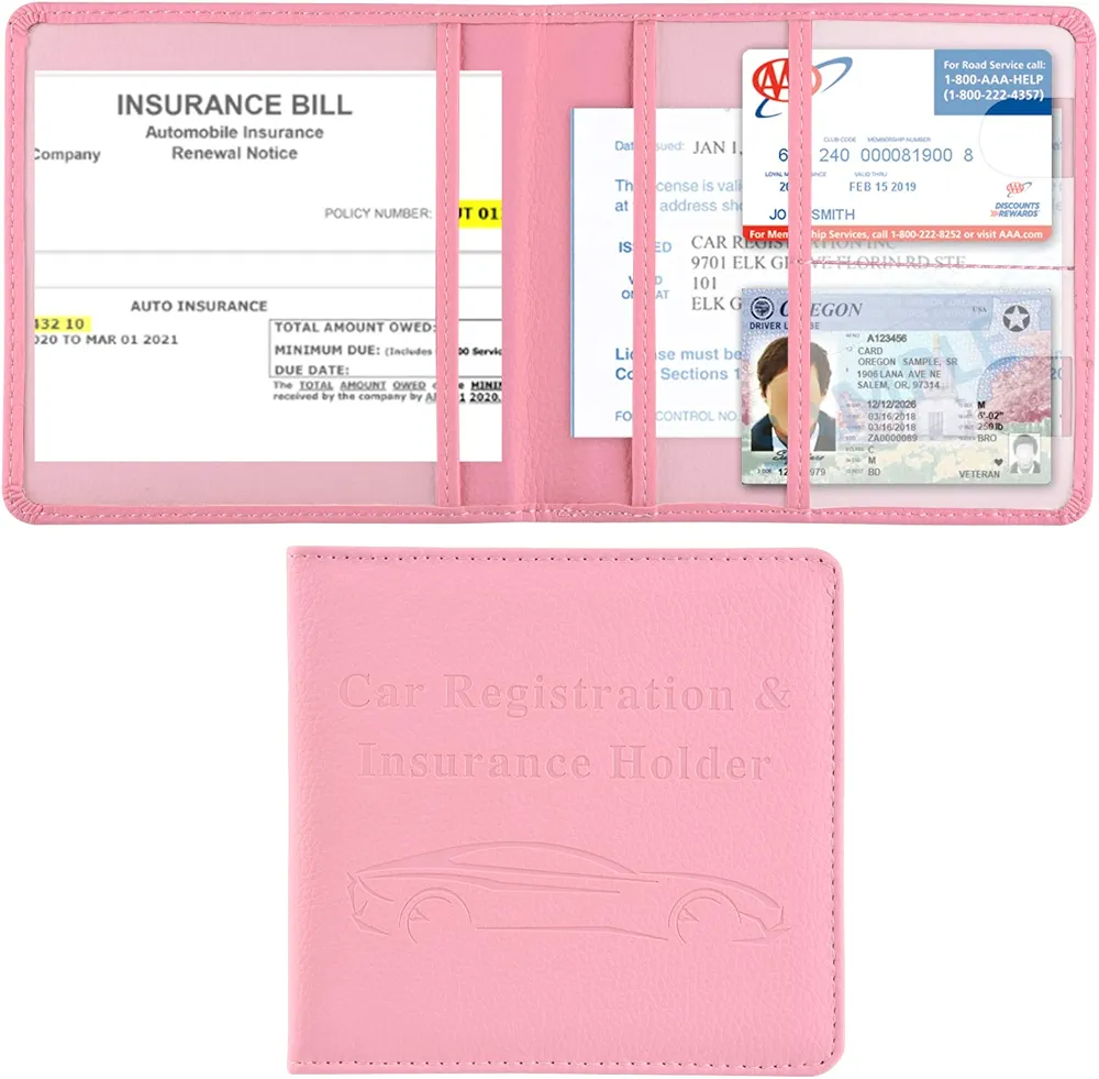 Cacturism Soporte para Registro de automóvil y Seguro, guantera de vehículo, Organizador de Coche, para Hombres y Mujeres, Funda para Tarjetas, Documentos Esenciales, Licencia de Conducir